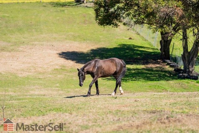 2/43 Victoria Hill Rd, NSW 2729