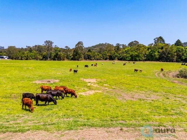 18 Calico Creek Road, QLD 4570