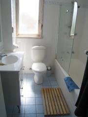 Bathroom (2010-02-15)