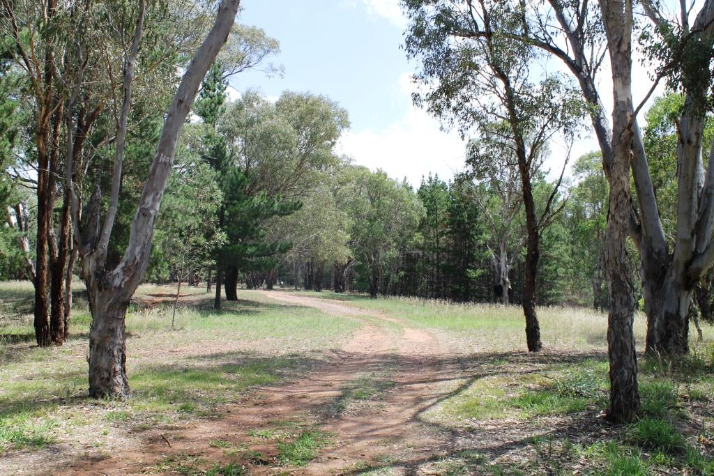 (no street name provided), Goolma NSW 2852 Allhomes