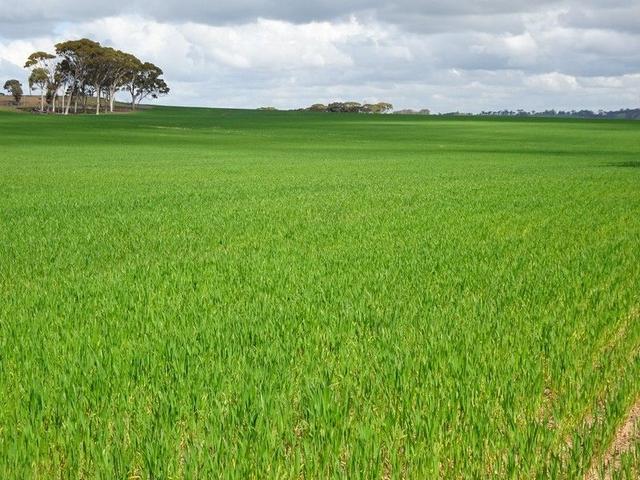 Giles Road, WA 6308