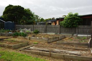 Standard Photo (2013-09-13)