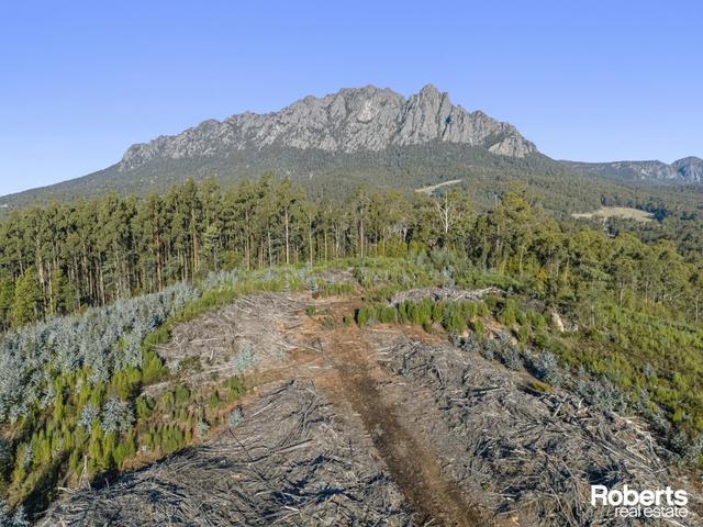 Lot 1 Patawalonga Road, TAS 7306