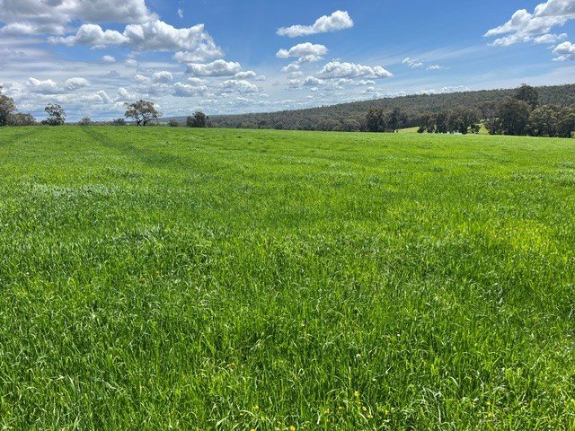 Lot 7820 Mordallup Road (Perup), WA 6258