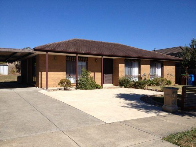 41 Ireland Ave, VIC 3805