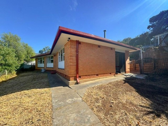 19 Deepdene Avenue, SA 5050