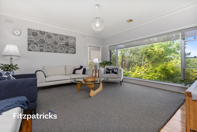 8 Sunshine Avenue, NSW 2650