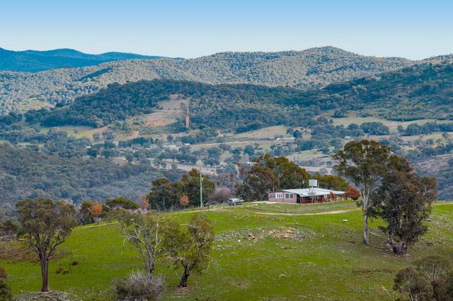 505 Wangalo Road, NSW 2583