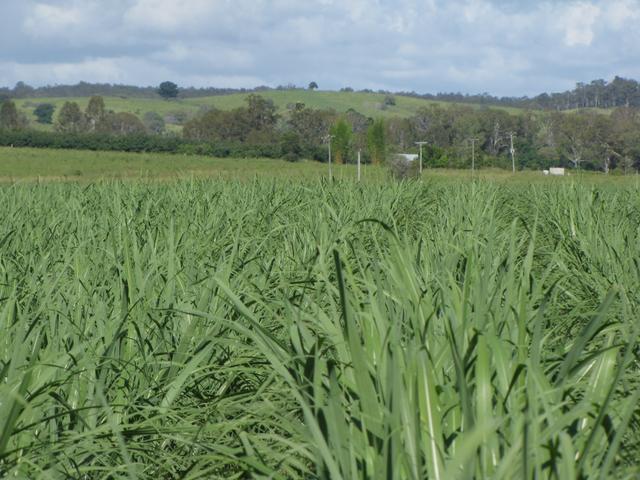 (no street name provided), QLD 4671