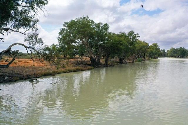 Lot 21 Darling River Estate, Pomona Road, NSW 2648