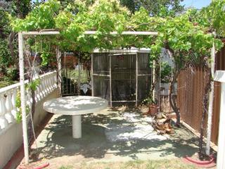Rear Yard (2008-01-15)