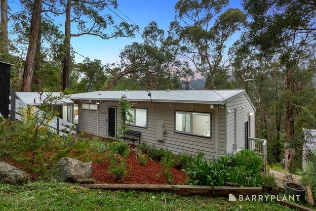 61-63 Government Road, VIC 3154