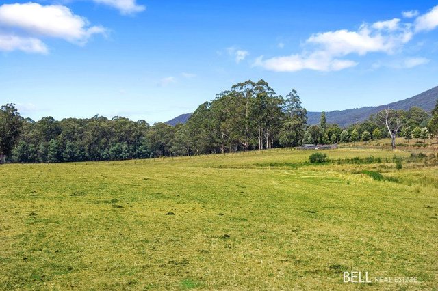 1145 Little Yarra  Road, VIC 3797
