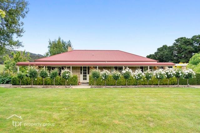 518 Mountain River Road, TAS 7109