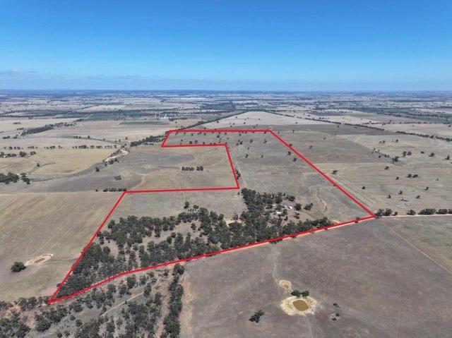 273 Burkes Flat-Wedderburn Road, VIC 3475