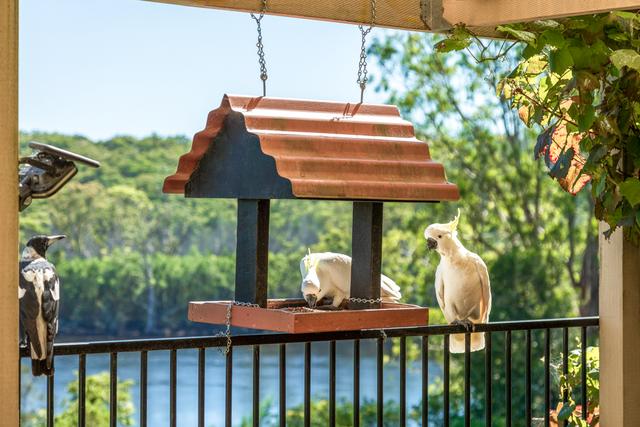 19 Braidwood Street, NSW 2536