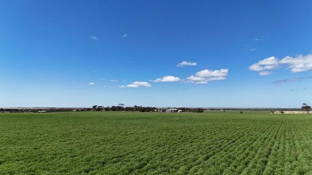 'Ocean View' 841 Tiddy Widdy Beach Rd, SA 5571