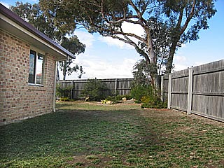 Rear yard