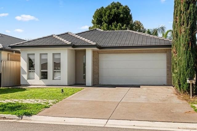 20a Albion Street, SA 5087