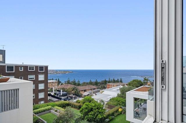 6/329 Arden Street, NSW 2034