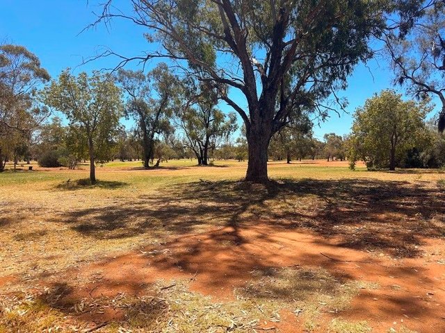 61 Molong Street, NSW 2877