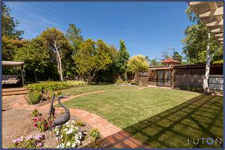 Backyard (2013-01-15)
