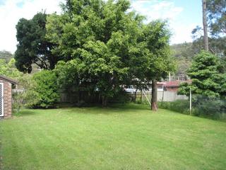 Huge backyard