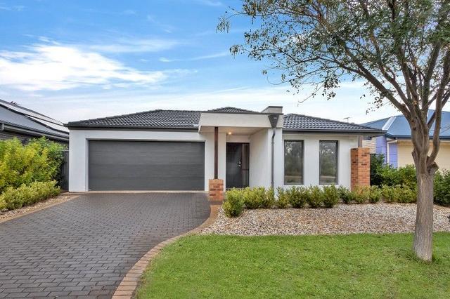 12 Wells Place, SA 5116