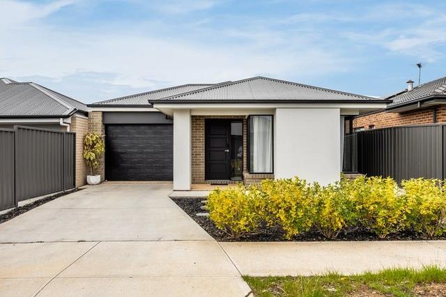 16 Bieg Street, SA 5008