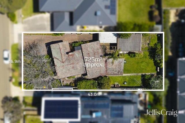 19 Wallabah Street, VIC 3149
