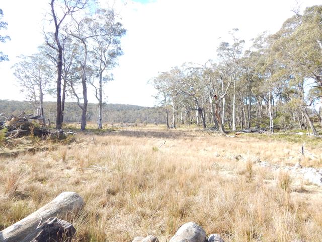 lot 30 Greenlands Road, NSW 2631