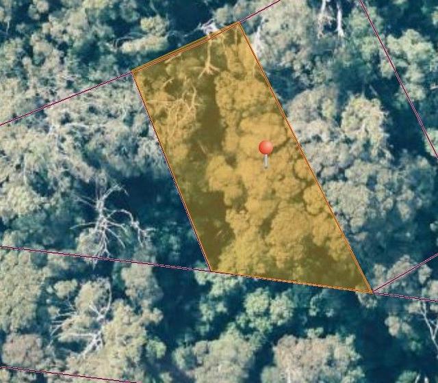 lot 1 1824490 Edward Street West Coast [Balfour], TAS 7330