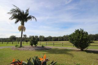 Horse property Port Macquarie