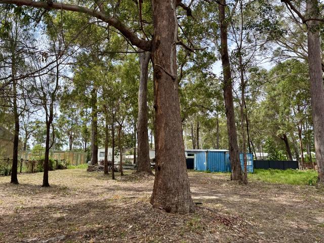17 Ilumba St, QLD 4184