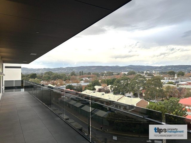 O606/100 Magill Road, SA 5067
