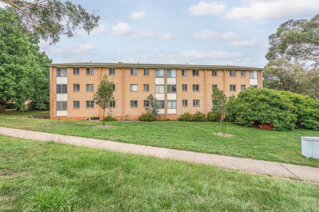 51/3 Waddell Place, ACT 2605