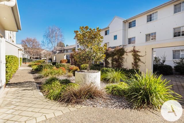 13/20 Federal Highway, ACT 2602