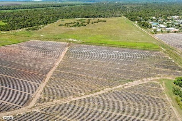 266 Gooburrum Road, QLD 4670