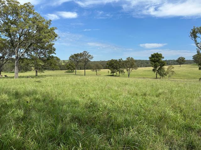 (no street name provided), NSW 2330