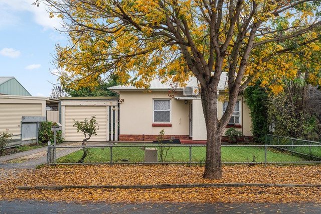 3B Bignell Street, SA 5033