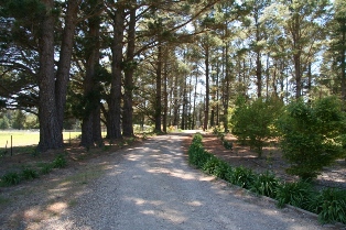 driveway