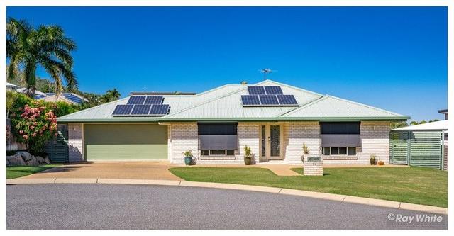 14 Cycad Court, QLD 4701