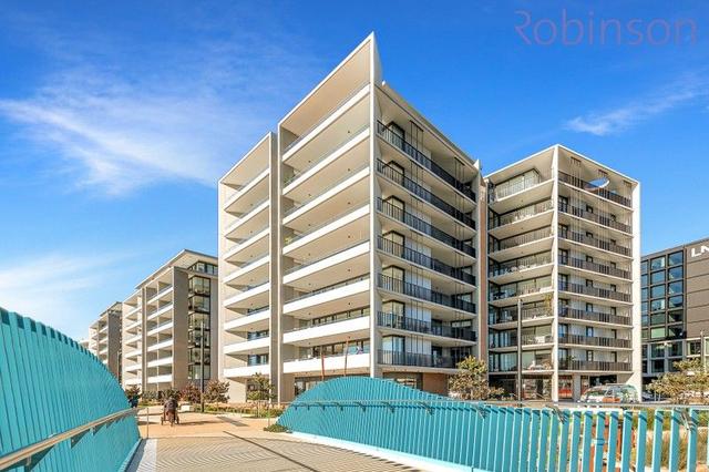 303/45 Honeysuckle  Drive, NSW 2300