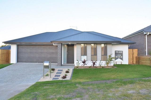14 Haymarket Street, QLD 4280