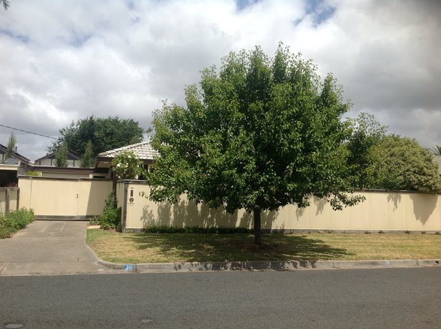 36 Turnbull St, VIC 3850