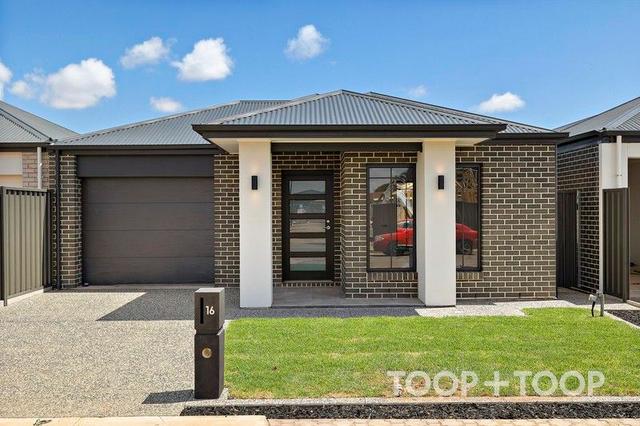 16 Gaynor Avenue, SA 5108