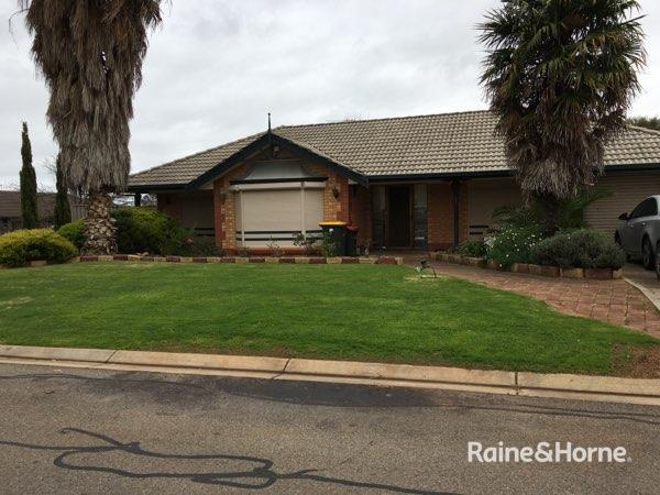 1 Magnolia Crescent, SA 5114