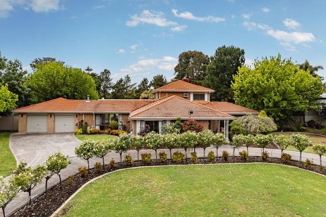 6 Galashiels Terrace, VIC 3059