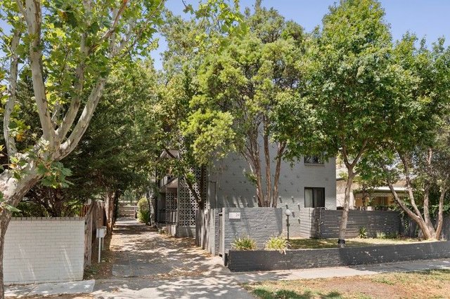 7/24 The Avenue, VIC 3181