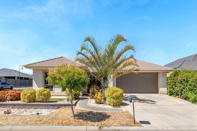 16 Lodge Way, SA 5114